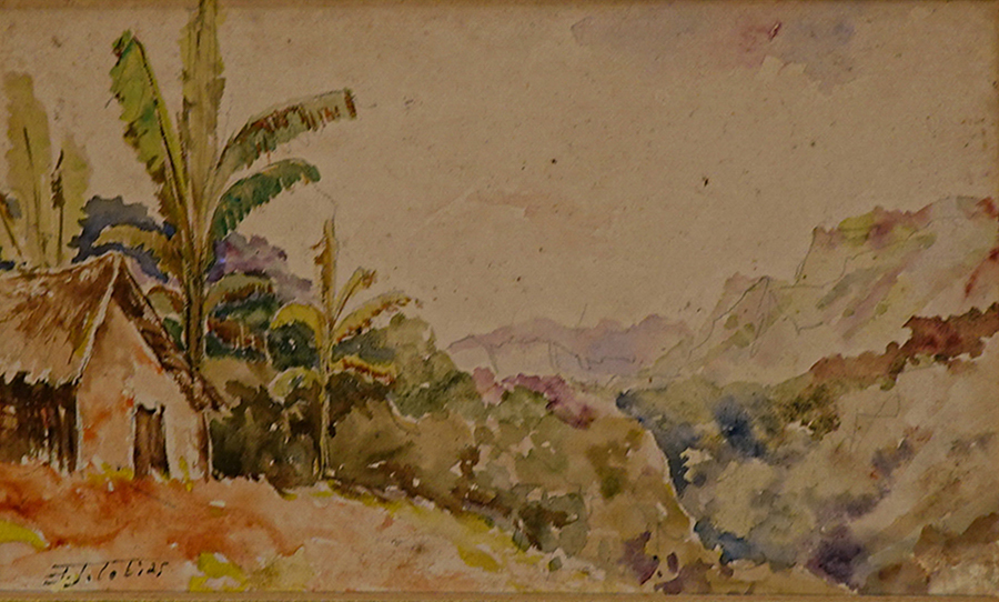 Lote 211
