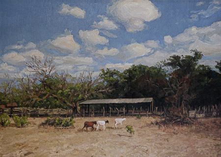 Lote 382