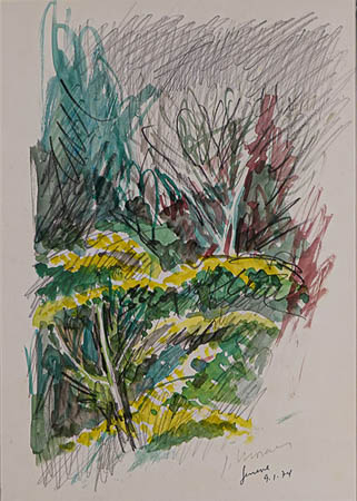 Lote 44