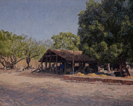 Lote 238