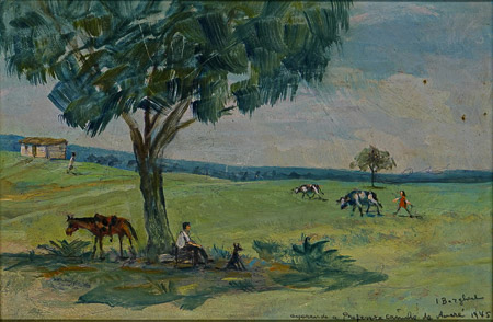 Lote 411